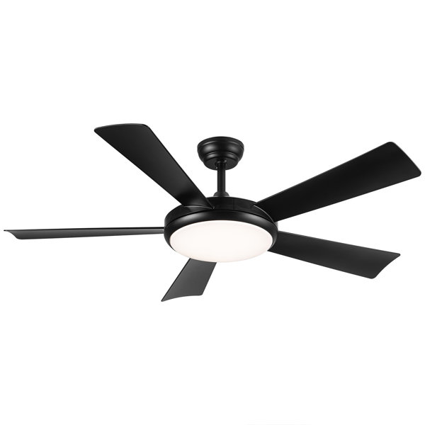 Latitude Run® Ceiling Fan with LED Lights Wayfair